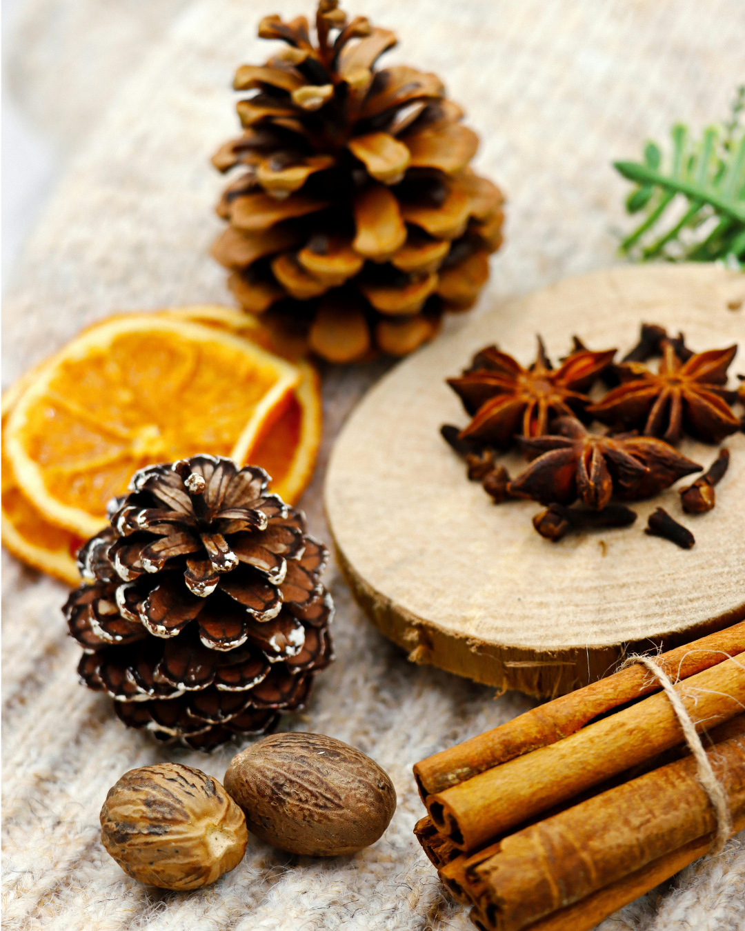 Home for the Holidays Candle